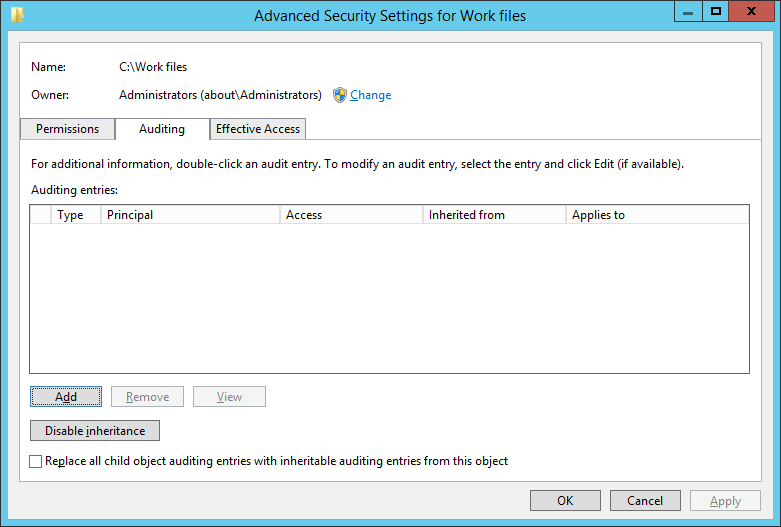Figure 3: Advanced Security Settings for Work Files Window