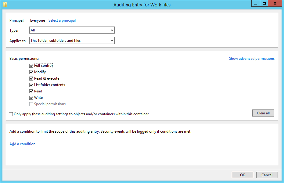 Figure 4: Auditing Entry for Work Files window